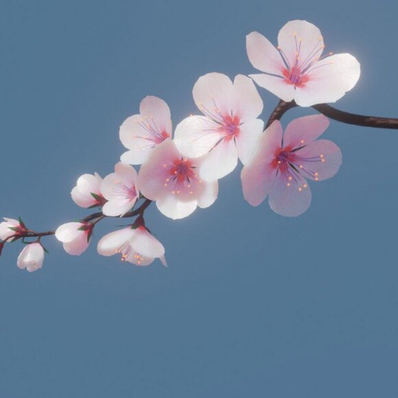 Meet your Posher, Emma - Picture 1 of 1